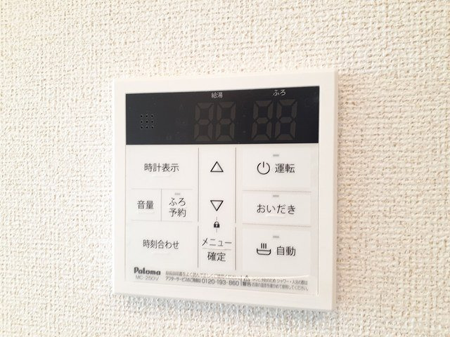 ラナンキュラス　Ⅱのその他