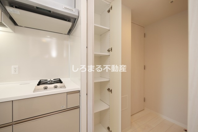 ルフォンプログレ堺筋本町タワーレジデンスの収納