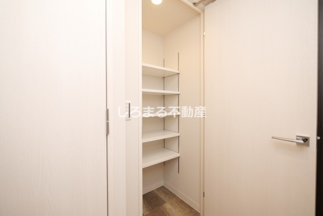ルフォンプログレ堺筋本町タワーレジデンスの収納