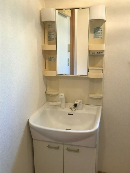 エスポワールAの洗面所
