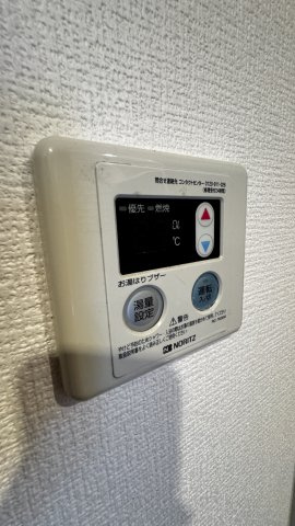 ビエラコート大橋の外観