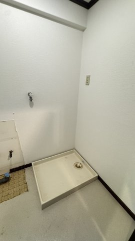 ビエラコート大橋の外観
