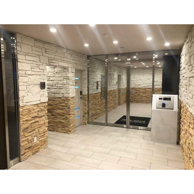 熊本市南区刈草１丁目の賃貸マンションのエントランス
