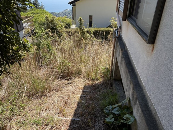 【庭】 | エンゼルフォレスト伊豆熱川別荘地　戸建