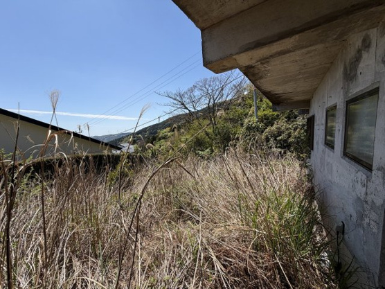 【庭】 | エンゼルフォレスト伊豆熱川別荘地　戸建