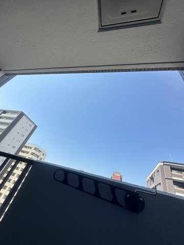 SEALSの展望