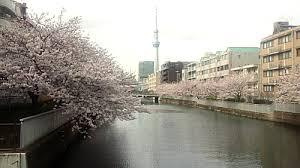 レジデンス毛利イーストの周辺