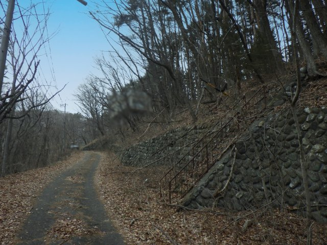 高津屋別荘地①の前面道路含む現地写真