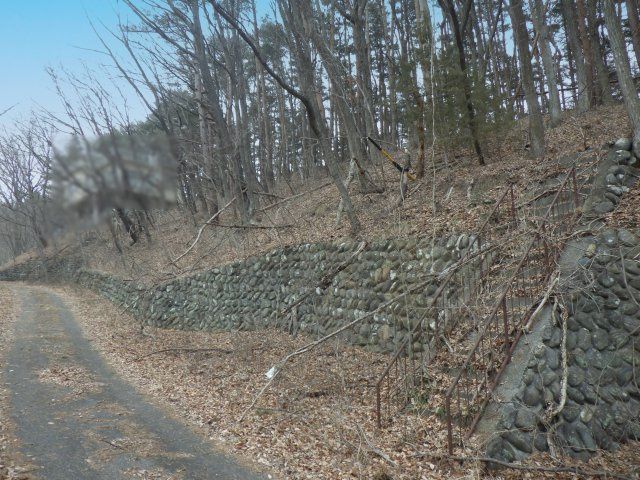 高津屋別荘地①の前面道路含む現地写真