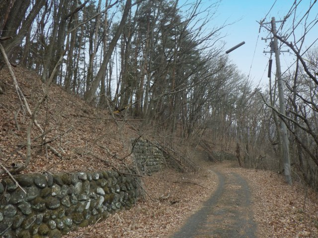 高津屋別荘地①の前面道路含む現地写真