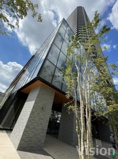 THE TOWER JUJOの画像