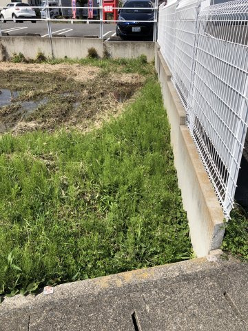 土地　江吉良町の周辺