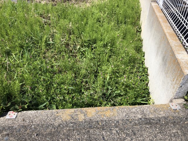 土地　江吉良町の周辺