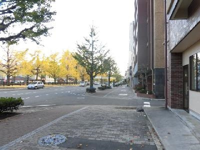 ファーストコート今出川北の周辺|前面道路