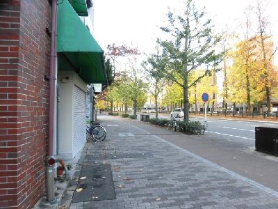 ファーストコート今出川北の地図|前面道路