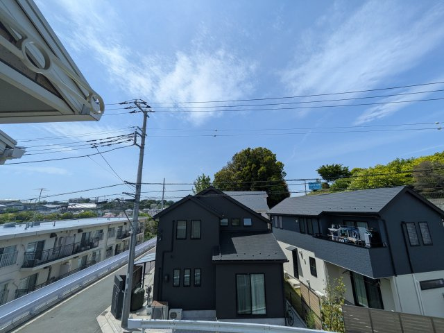 フェリシアⅢの展望