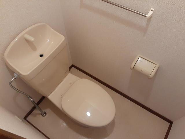 ビオラ館のトイレ|落ち着いたトイレです
