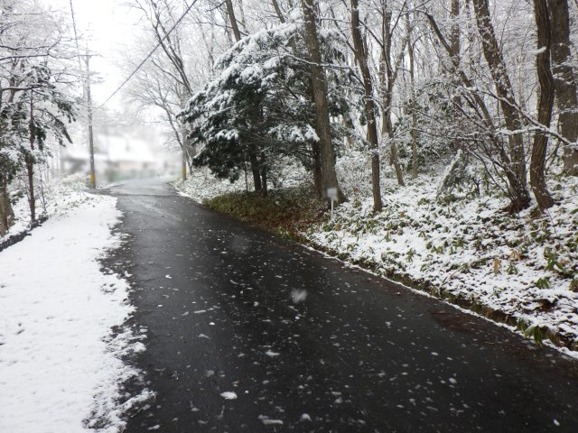 うぐいすの森別荘地③の前面道路含む現地写真