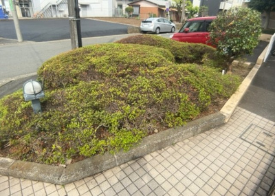 【中庭】 | メゾン橋本 | 中庭（パティオ）とは、一つの建築物の内部に設けられた、壁などで囲われている庭のことを指します。コの字型、ロの字型が主流ですが、L字型の中庭もあります。最近では、インテリア性の高さからも人気があります。