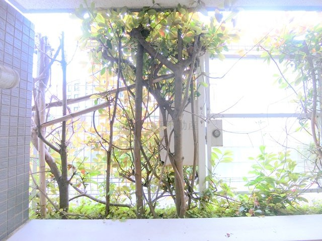 ビバリーホームズ久が原Ⅱの展望