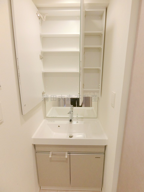 RJRプレシア蒲田の洗面所