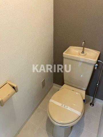 デザイナーズ8マンション のトイレ