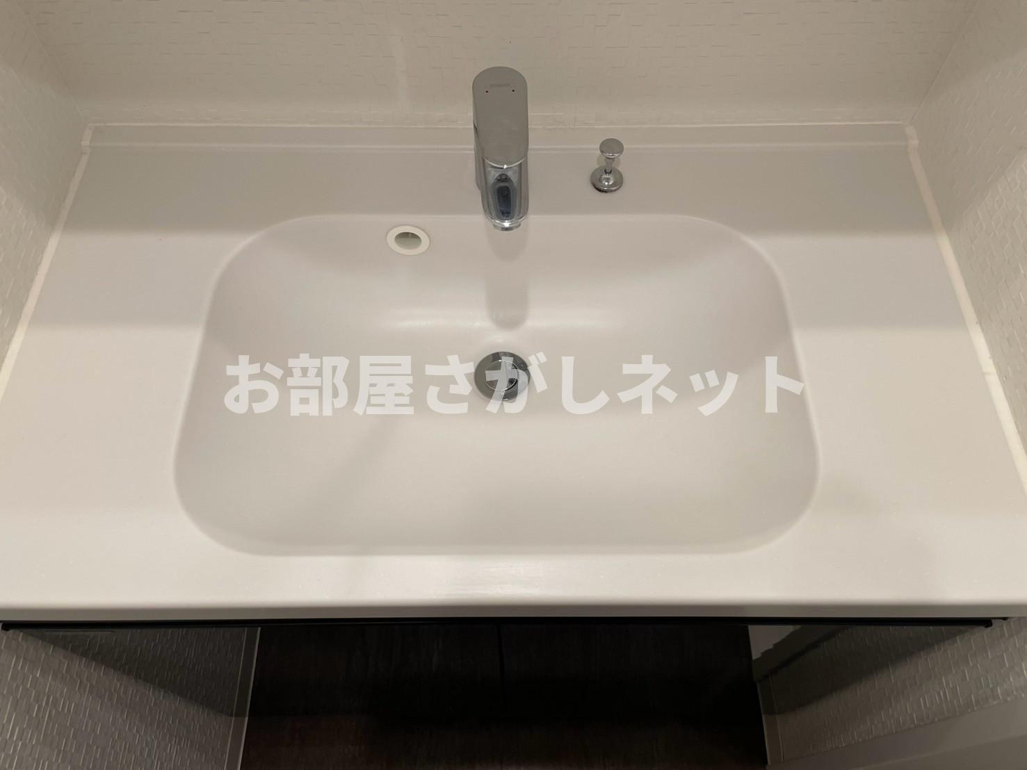 DIPS十条仲原WEST【おとり物件なし】#学生・社会人にオススメ！初期費用分割払いOK！の独立洗面台