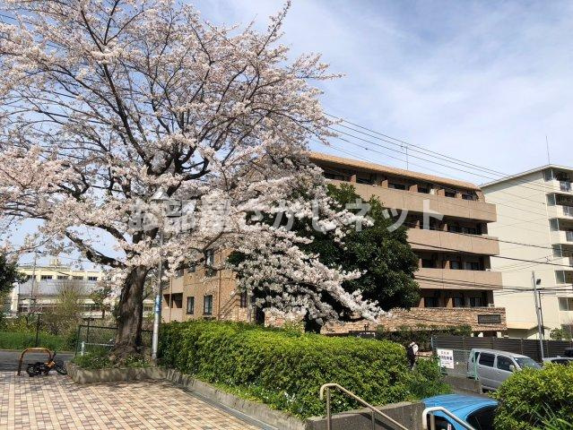 トーシンフェニックス落合公園【おとり物件なし】#学生・社会人にオススメ！初期費用分割払いOK！の外観