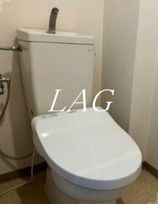 【トイレ】 | ルーセント白金 | トイレです。