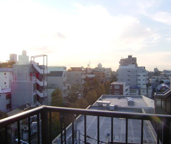トーシンフェニックス沼袋の展望