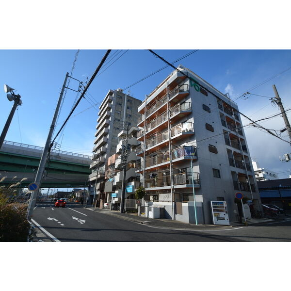 ドール東海通