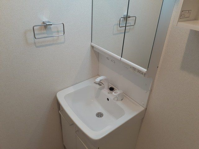 ガゾンの洗面所