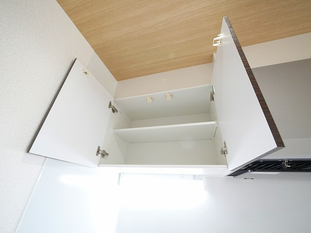 カーサ南紀寺町の設備|キッチン上部には収納があります