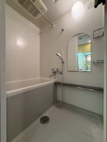 プレサンス心斎橋タイミックスの浴室