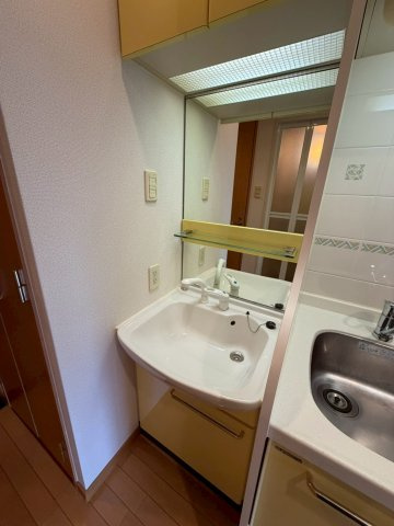 プレサンス心斎橋タイミックスの洗面所