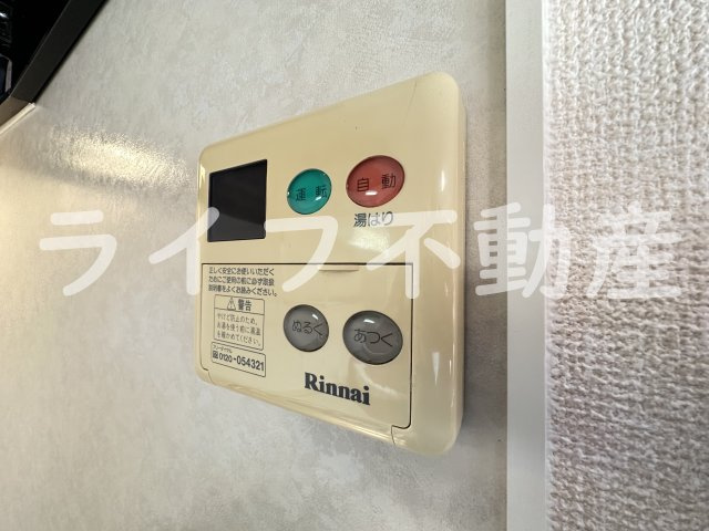 ラナカスターナのその他
