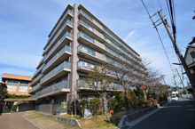 ステイツ西宮甲東園の画像