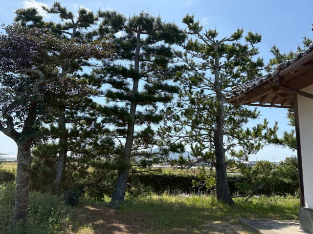 灘分町　戸建の庭