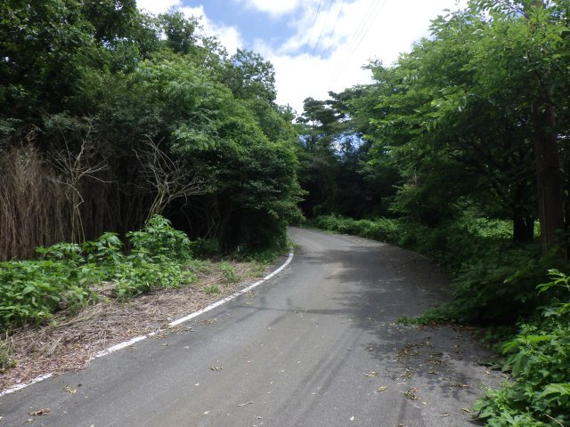 富士ケ嶺高原緑の村①の前面道路含む現地写真