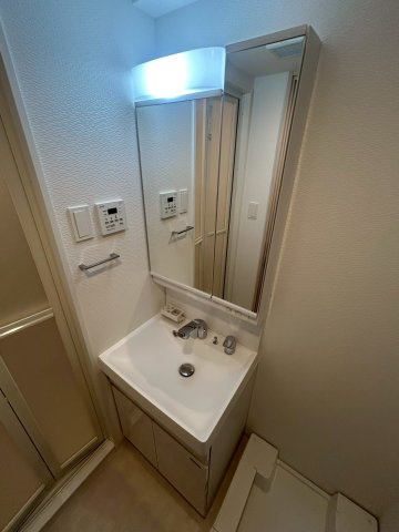 S-RESIDENCE難波大国町Tresの洗面所