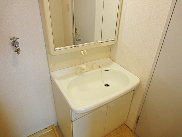 ロイヤルメゾン宝塚南の洗面所