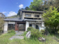 山鹿市杉の画像