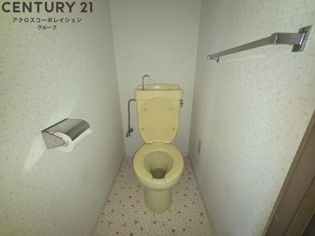 コンパクトで使いやすいトイレです