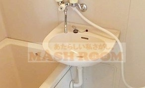 フェリース西荻北の洗面所