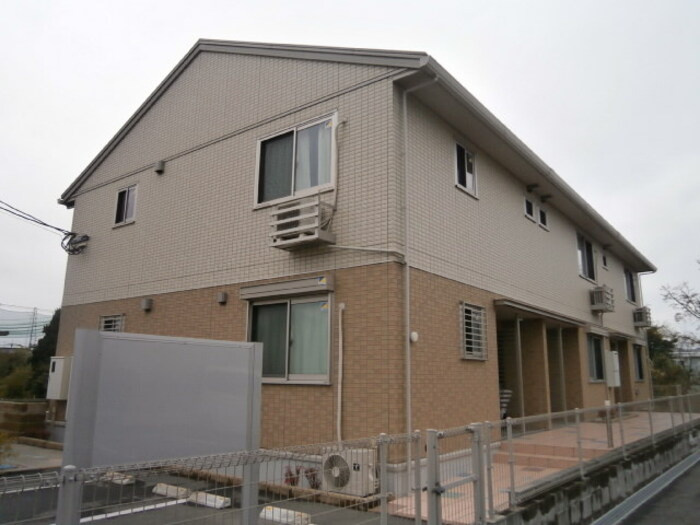 グリーンカトレアⅡ