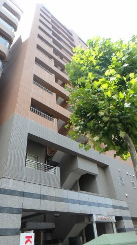 パレステュディオシンシア文京千石