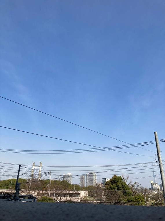 ヴェレーナ木場公園の展望