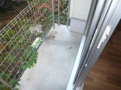 セノーテの設備