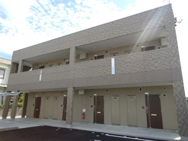 セレブ・パール二色