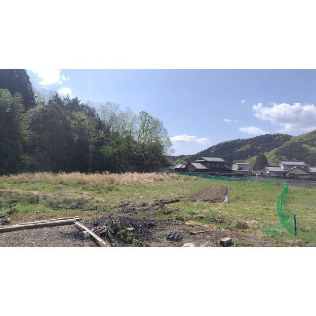 山県市大桑の一戸建てのその他|畑